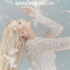 Sandra N  -  Liar (Ramazan Cicek Remix)