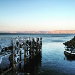 אם תרצו 2016 -- Im Tirztu 2016