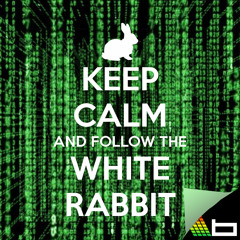 Follow The White Rabbit
