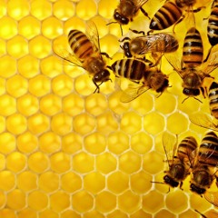 Erykah Badu - Honey (EMERLD Bee-Cool Edit)