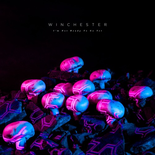 W I N C H E S T E R - I'm Not Ready To Go Yet