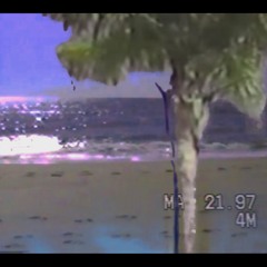 S U N S H I N E
