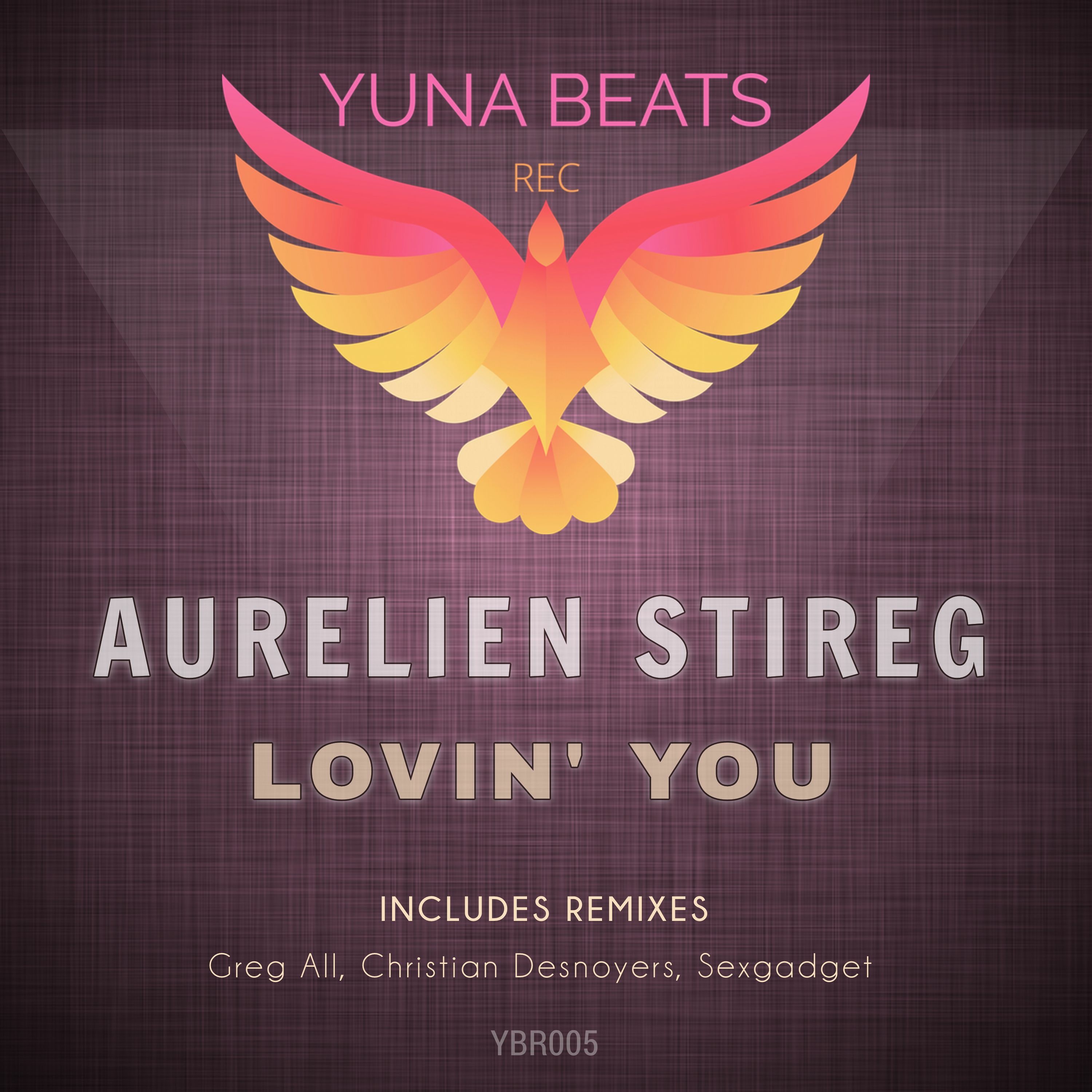 Aurelien Stireg