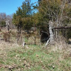 Trouble Don't Last Always by Mark Lomax performed by Maya Stone and Chuck Dillard
