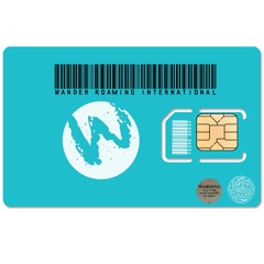 WANDER ROAMING INTERNATIONAL