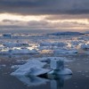 Ice Caps Ice Caps