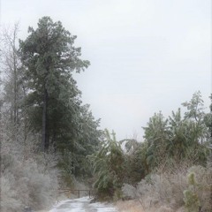 Through The Eyes of a Child-Aurora