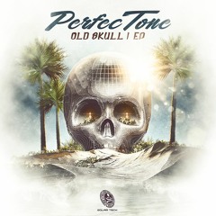 Shakta - Lepton Head (PerfecTone Remix)