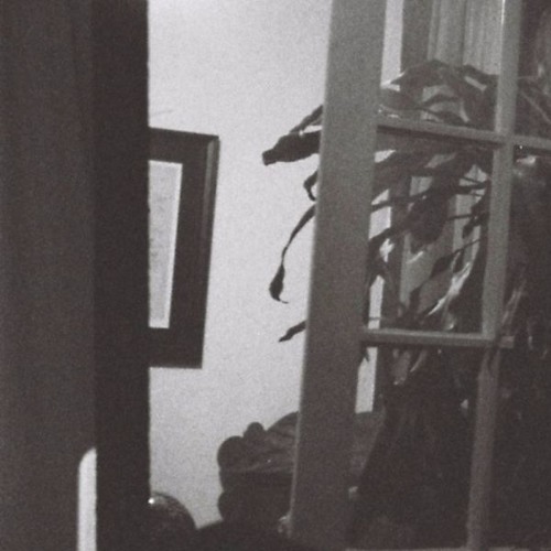 Greaf - Not Like This