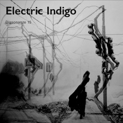 Dissonanze 15 | Electric Indigo