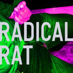 How Free is Your Freedom (demo)