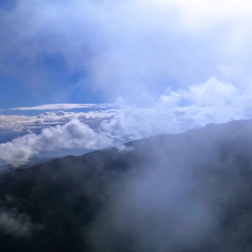 Bibi - Ciocolata (CarBassProject)