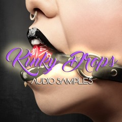 KINKY DROPS BASS HOUSE TEMPLATE 2 FREE FLP