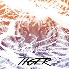 Kenneth Thrane - TIGER (Original Mix)