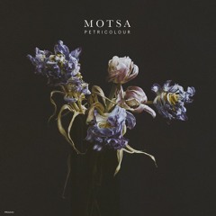 MOTSA - Petrichor feat. Sophie Lindinger (Music Video In Description!)