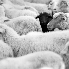 Ken Ishii - Twitched (Florian Munkt Dub Remix)