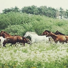 زمانك بُستانٌ
