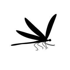 Integrated Planning: Peter Morville interviews Jim Young