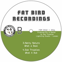 Natty Nature - What A Deal + Dub