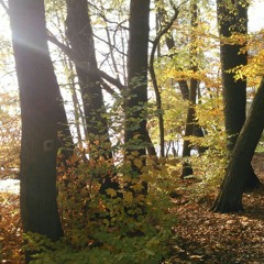 Fast allein auf der Messe am Klavier abends um 18 Uhr