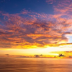 DJ Shadow - Scale It Back (Chris Micali Mix)