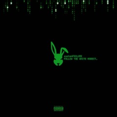 Follow The White Rabbit.