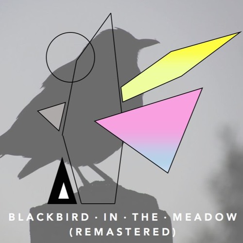 Blackbird in the Meadow (Remastered)