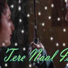 Tere Naal Ishqa (Shivaay)