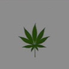 Shane digital - T R A P P A R T Y { snip + beat}