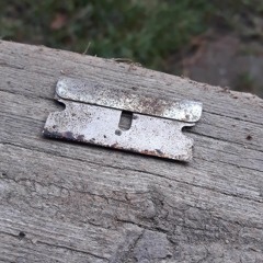 Paper Folds Along Bloodstained Edges