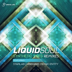 Liquid Soul - Synthetic Vibes (Mindwave Remix)