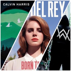 Lana Del Rey vs Alan Walker vs Calvin Harris - Born To Sing Me My Way (Luca Rubino Mashup)