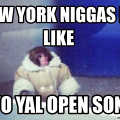 The NEWYORKNIGGA