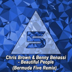 Chris Brown & Benny Benassi - Beautiful People (Bermuda Five Remix) [FREE DL]