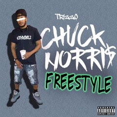Chuck Norris Freestyle