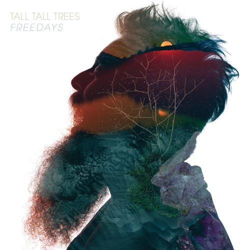 Tall Tall Trees - Backroads