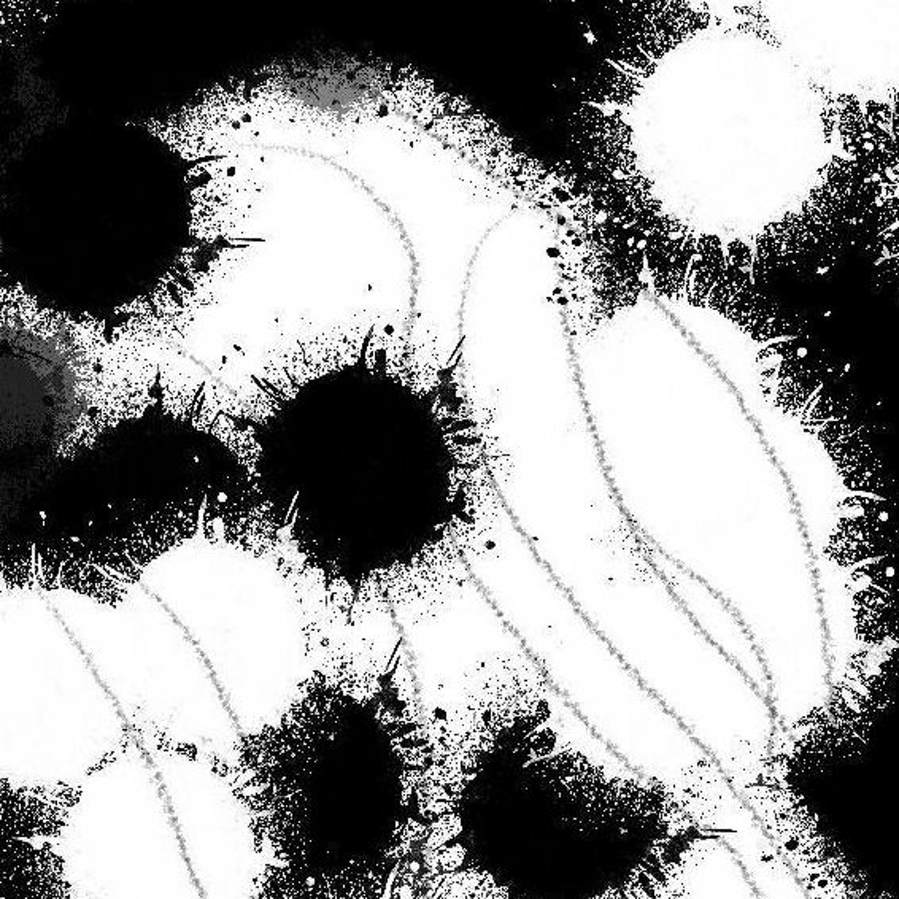 loop of negative episode artwork