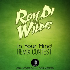 Roy Di Wilde - In Your Mind.(FilterMachineRMX)