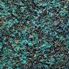 a.beautiful.autumn.leaf