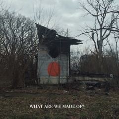 What Are We Made Of ?