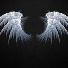 kellbender - Wing$ (Speed Up)