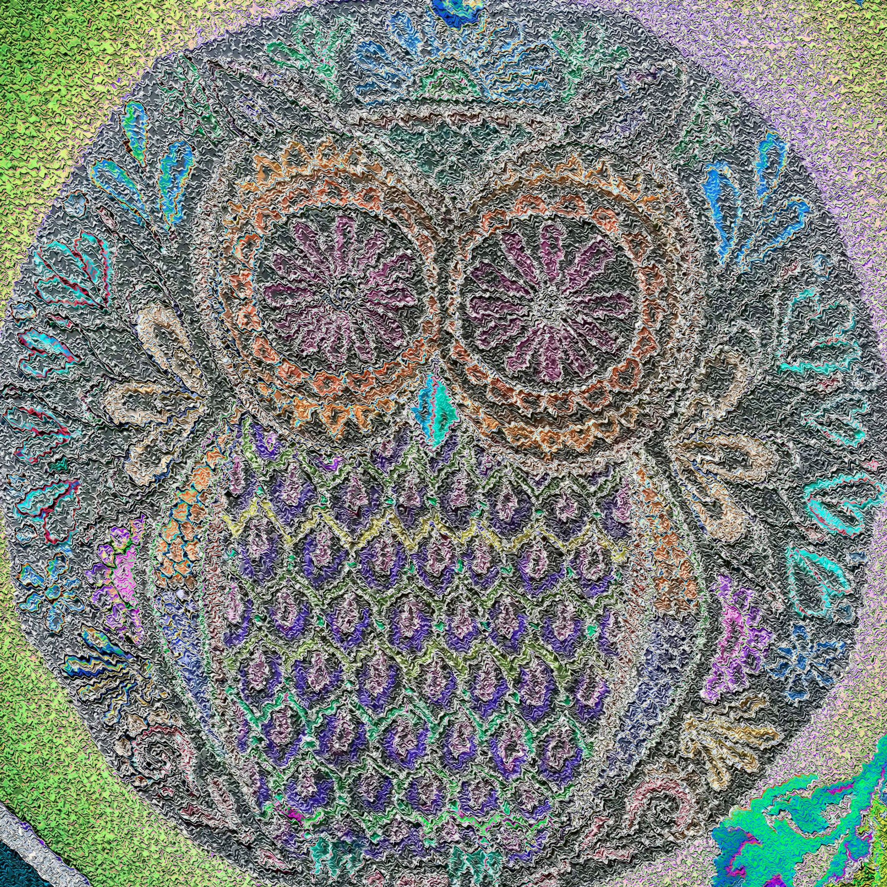 Owl episode artwork