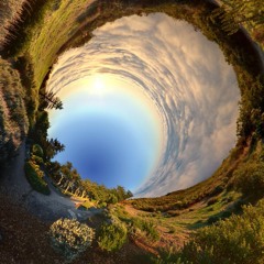 The Rabbit Hole