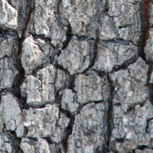 Fragment