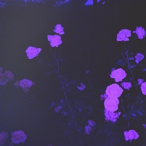 purple digits ft. noah