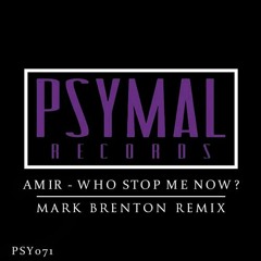 Amir - Who Stop Me Now? (Mark Brenton Remix)
