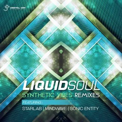 Liquid Soul - Synthetic Vibes (Sonic Entity Remix) (sample)