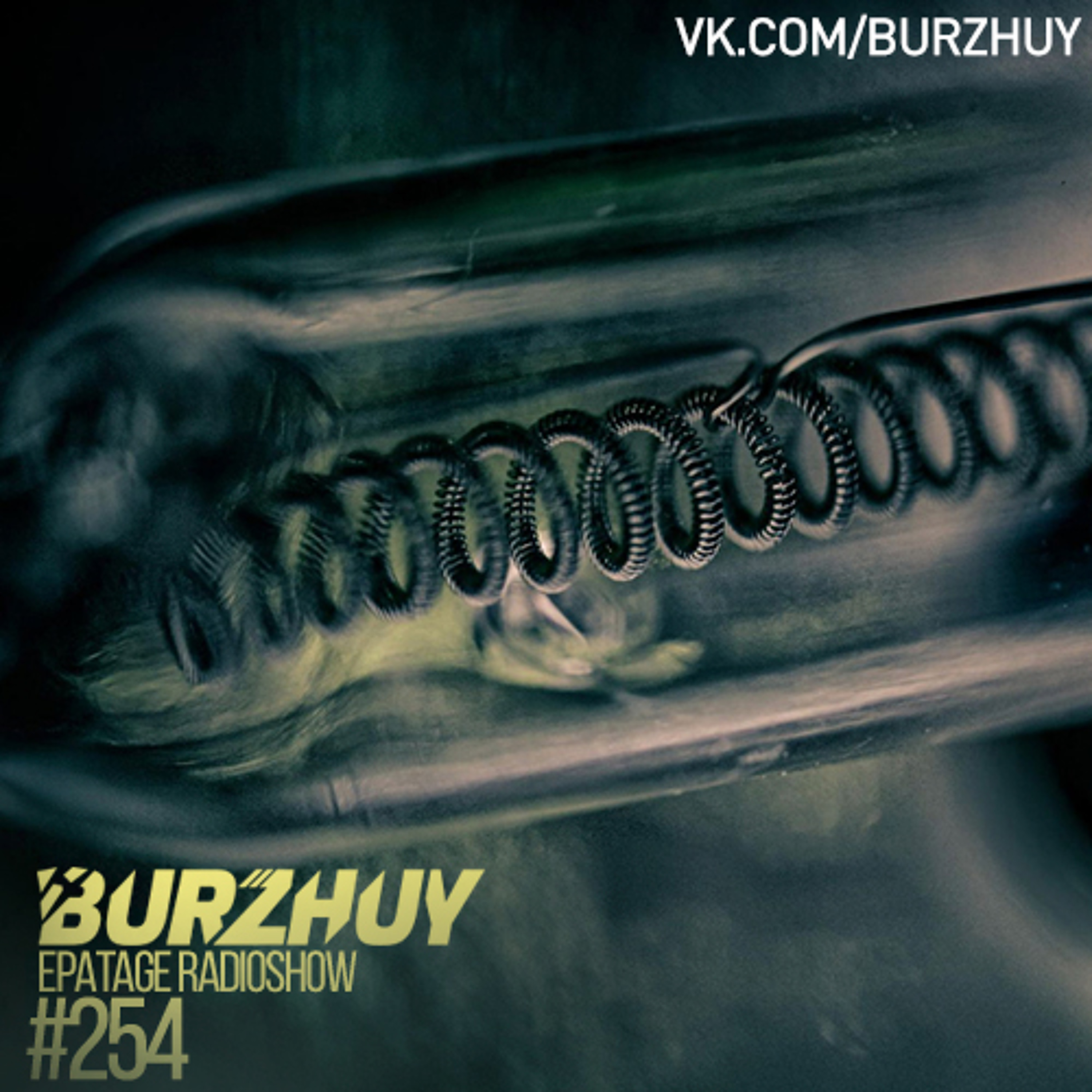 Burzhuy