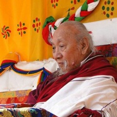 Lama chimi & Yangsi's Gitoe