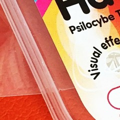 san sheriff- ON Hold